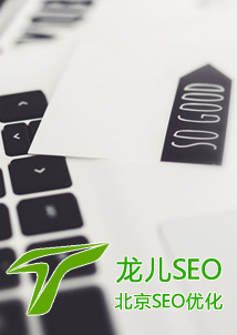 人SEO˾